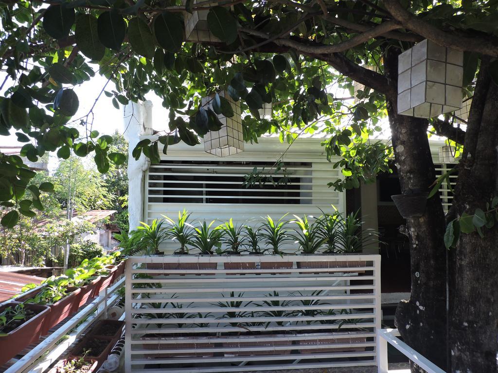 Orange Mangrove Pension House By Sms Hospitality Puerto Princesa Eksteriør bilde